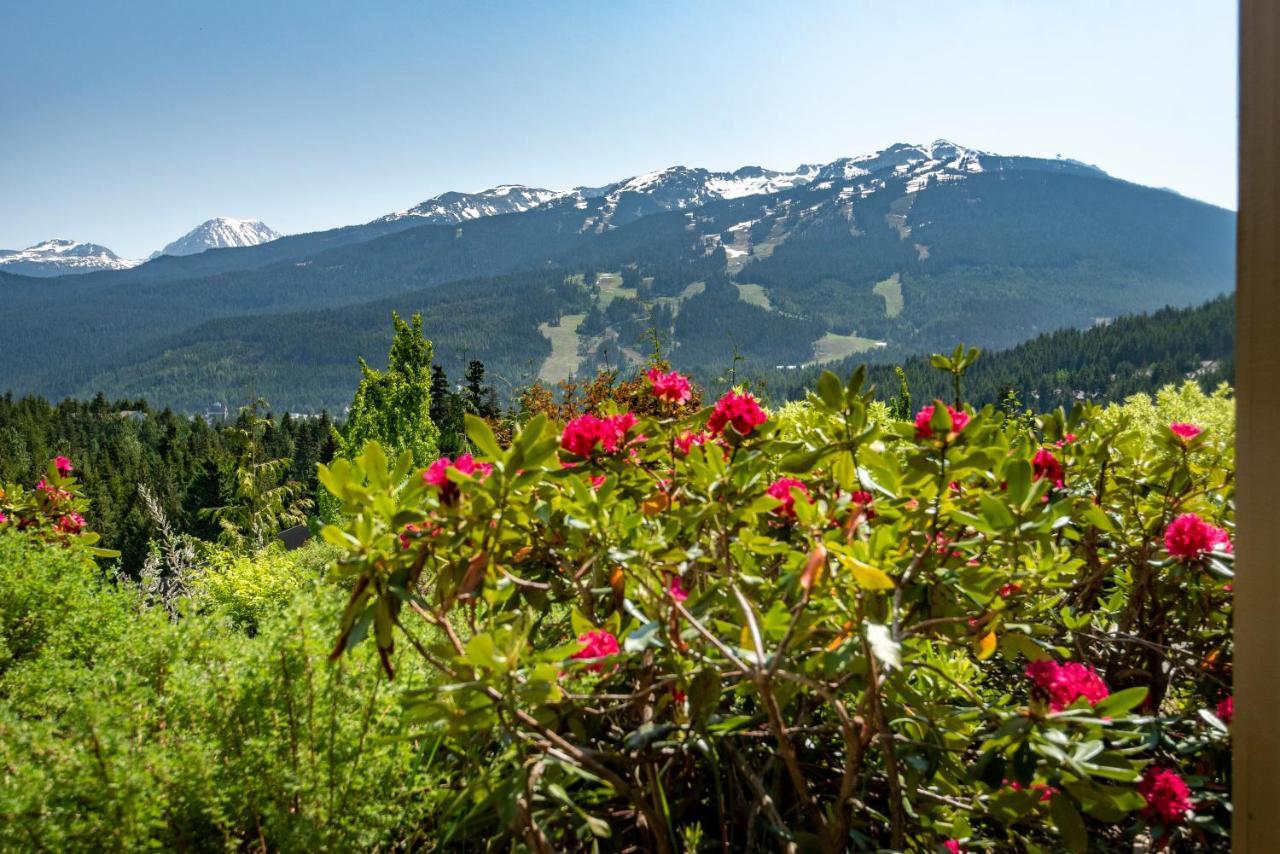 The Ironwood On Blueberry Hill Daire Whistler Dış mekan fotoğraf